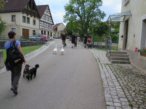 Bild