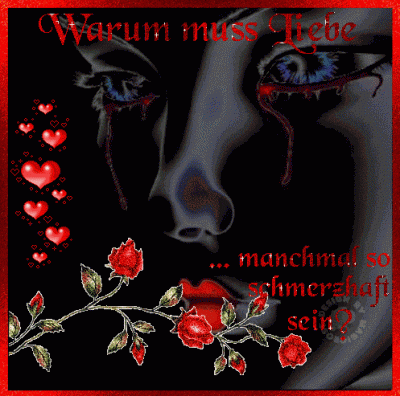 ext. Bild