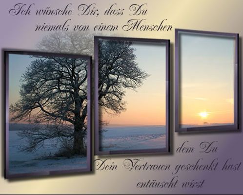 Mitglieder-Pic