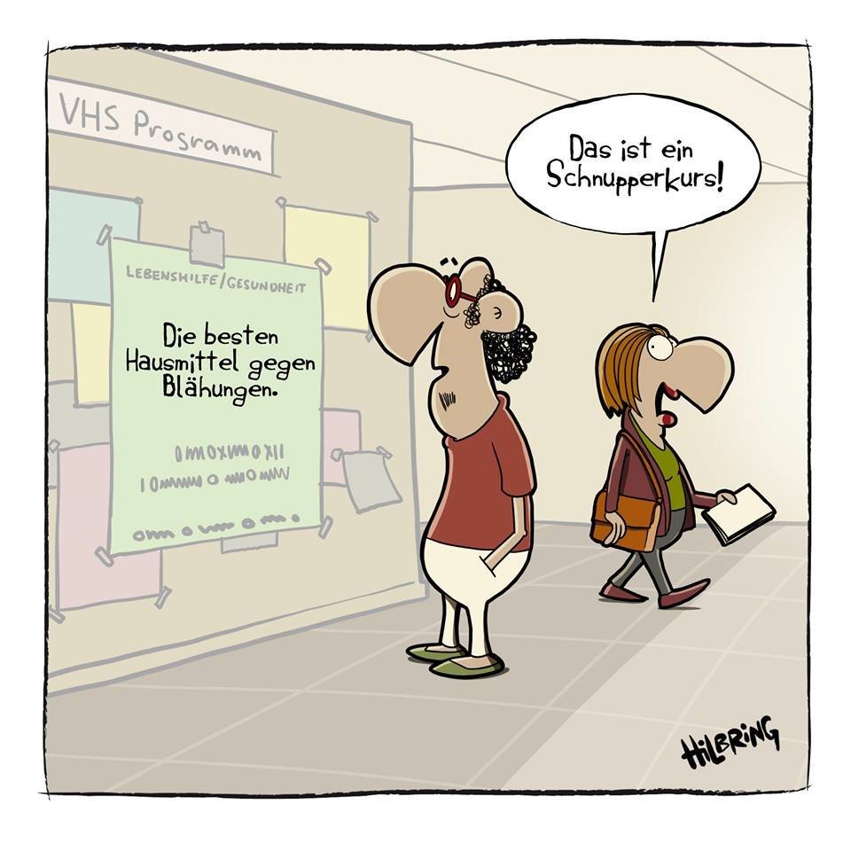 Allemalache lustich.de