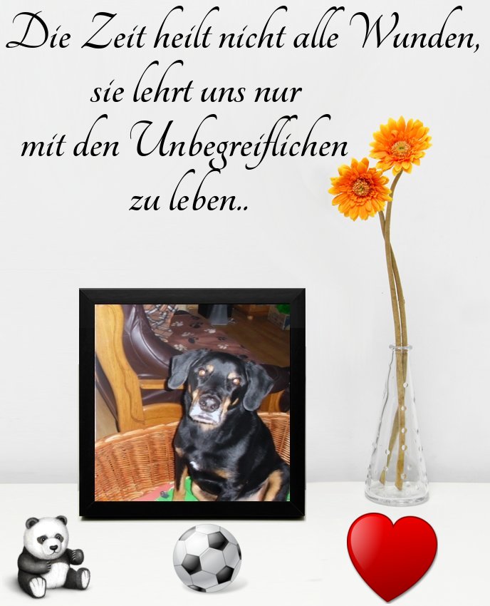 Chatcity.de chatten flirten freunde treffen
