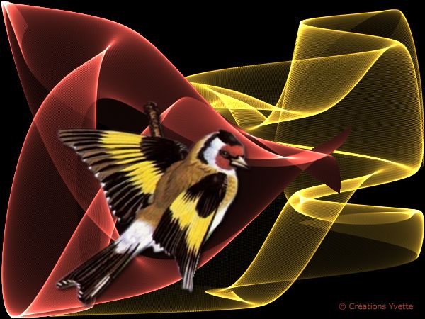 panick正在做什麼?